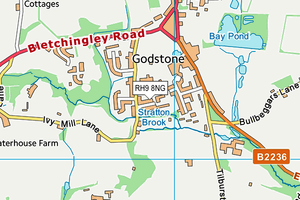 RH9 8NG map - OS VectorMap District (Ordnance Survey)