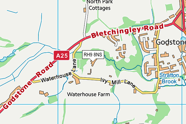 RH9 8NS map - OS VectorMap District (Ordnance Survey)