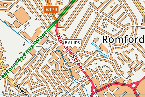 RM1 1DS map - OS VectorMap District (Ordnance Survey)