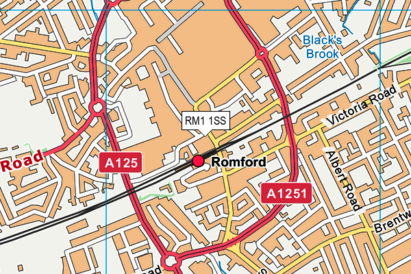 RM1 1SS map - OS VectorMap District (Ordnance Survey)