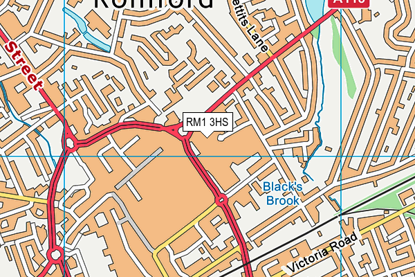 RM1 3HS map - OS VectorMap District (Ordnance Survey)
