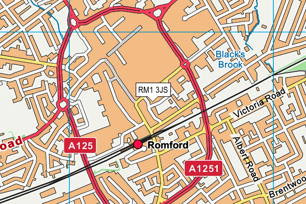 RM1 3JS map - OS VectorMap District (Ordnance Survey)