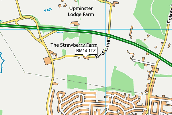 RM14 1TZ map - OS VectorMap District (Ordnance Survey)