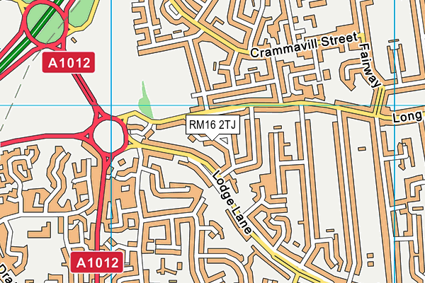 RM16 2TJ map - OS VectorMap District (Ordnance Survey)