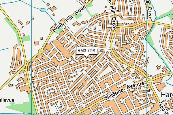 RM3 7DS map - OS VectorMap District (Ordnance Survey)