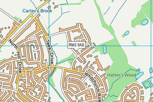 RM3 9AS map - OS VectorMap District (Ordnance Survey)