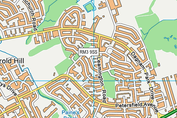 RM3 9SS map - OS VectorMap District (Ordnance Survey)