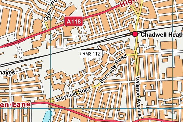 RM8 1TZ map - OS VectorMap District (Ordnance Survey)