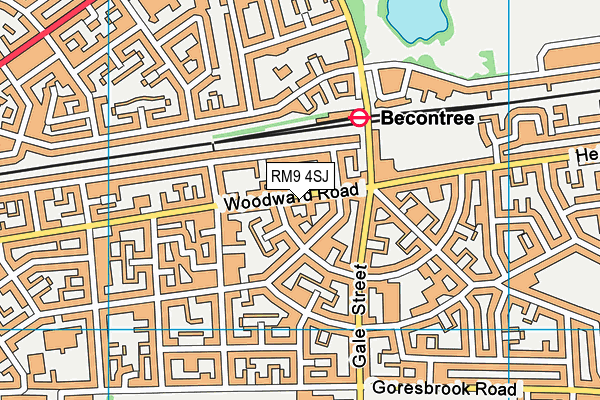 RM9 4SJ map - OS VectorMap District (Ordnance Survey)