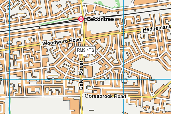 RM9 4TS map - OS VectorMap District (Ordnance Survey)