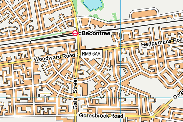 RM9 6AA map - OS VectorMap District (Ordnance Survey)