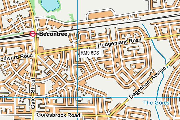 RM9 6DS map - OS VectorMap District (Ordnance Survey)
