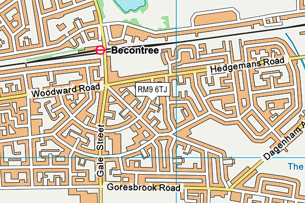 Mayesbrook Park School map (RM9 6TJ) - OS VectorMap District (Ordnance Survey)