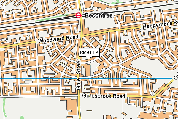 RM9 6TP map - OS VectorMap District (Ordnance Survey)