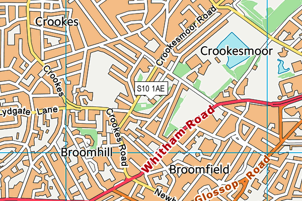 S10 1AE map - OS VectorMap District (Ordnance Survey)