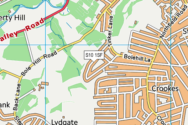 S10 1SF map - OS VectorMap District (Ordnance Survey)