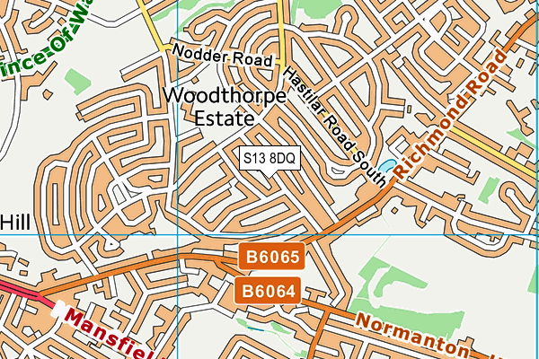 S13 8DQ map - OS VectorMap District (Ordnance Survey)