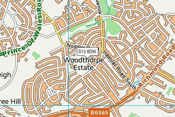S13 8DW map - OS VectorMap District (Ordnance Survey)