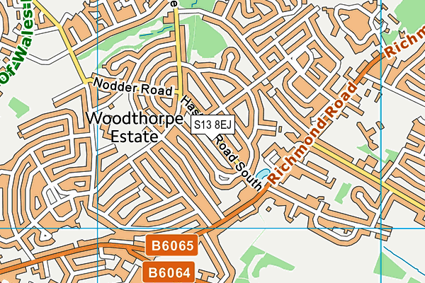 S13 8EJ map - OS VectorMap District (Ordnance Survey)