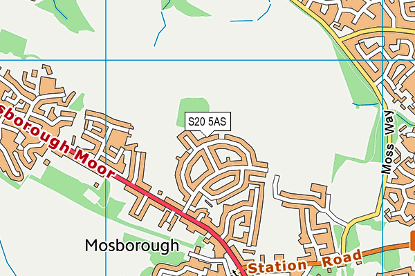 S20 5AS map - OS VectorMap District (Ordnance Survey)