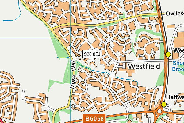 S20 8EJ map - OS VectorMap District (Ordnance Survey)