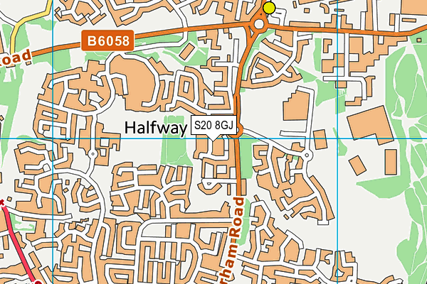 S20 8GJ map - OS VectorMap District (Ordnance Survey)