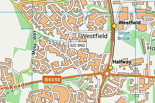 S20 8NG map - OS VectorMap District (Ordnance Survey)