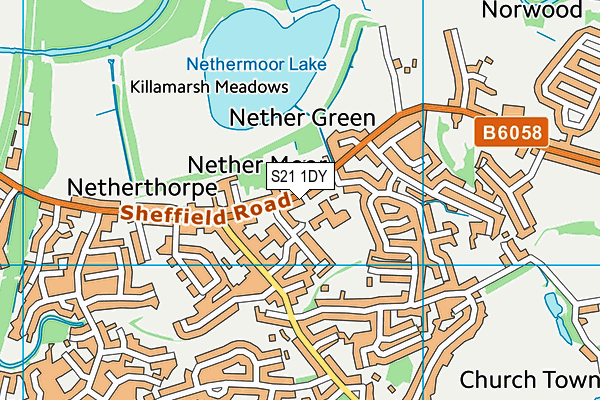 S21 1DY map - OS VectorMap District (Ordnance Survey)