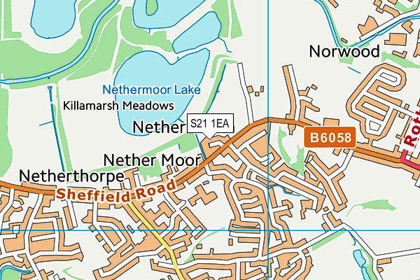 S21 1EA map - OS VectorMap District (Ordnance Survey)