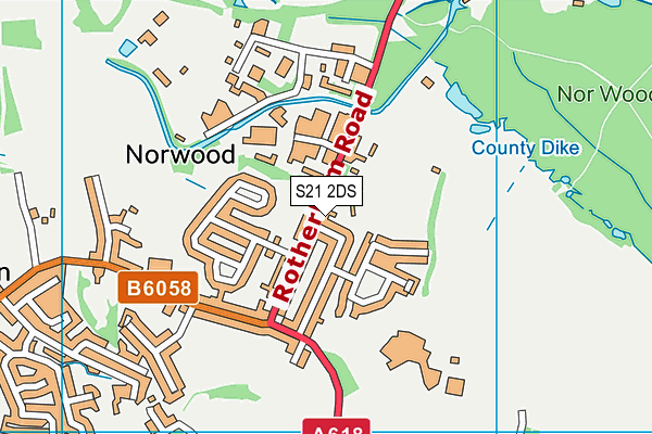 S21 2DS map - OS VectorMap District (Ordnance Survey)