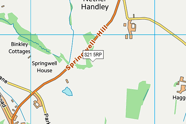 S21 5RP map - OS VectorMap District (Ordnance Survey)