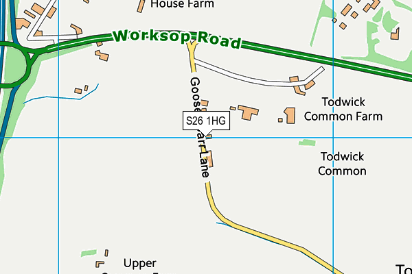 Goosecarr Lane Recreation Ground map (S26 1HG) - OS VectorMap District (Ordnance Survey)