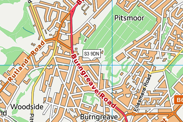 S3 9DN map - OS VectorMap District (Ordnance Survey)