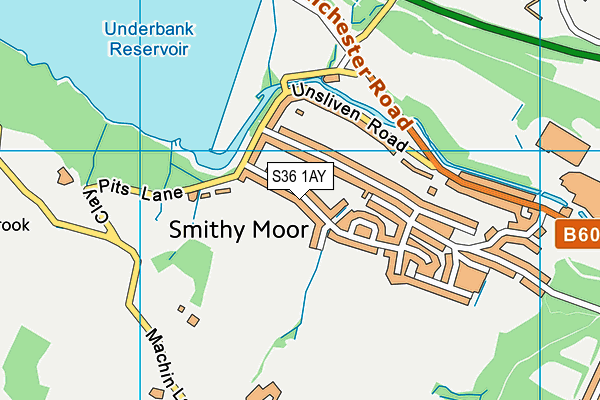 S36 1AY map - OS VectorMap District (Ordnance Survey)