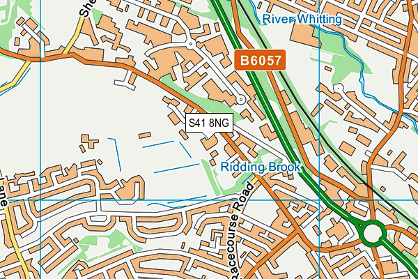 S41 8NG map - OS VectorMap District (Ordnance Survey)