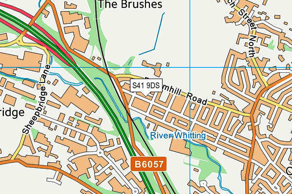 S41 9DS map - OS VectorMap District (Ordnance Survey)