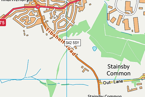 S42 5SY map - OS VectorMap District (Ordnance Survey)