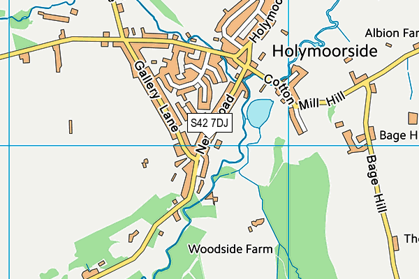S42 7DJ map - OS VectorMap District (Ordnance Survey)
