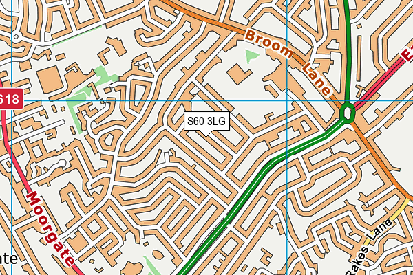 S60 3LG map - OS VectorMap District (Ordnance Survey)