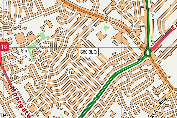 S60 3LQ map - OS VectorMap District (Ordnance Survey)