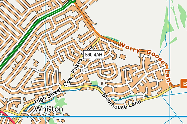 S60 4AH map - OS VectorMap District (Ordnance Survey)