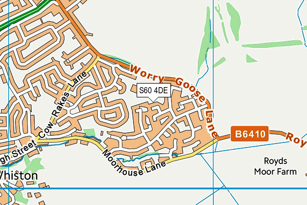 S60 4DE map - OS VectorMap District (Ordnance Survey)