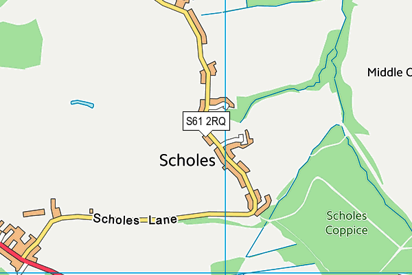 Scholes Cricket Club map (S61 2RQ) - OS VectorMap District (Ordnance Survey)