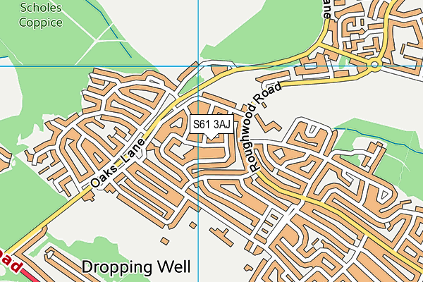 S61 3AJ map - OS VectorMap District (Ordnance Survey)