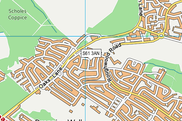 S61 3AN map - OS VectorMap District (Ordnance Survey)