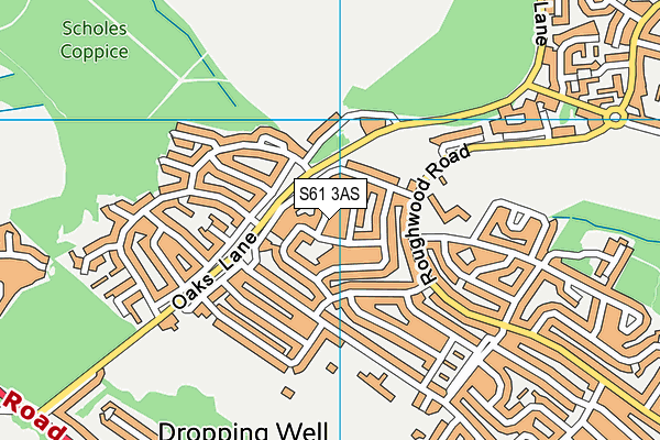 S61 3AS map - OS VectorMap District (Ordnance Survey)