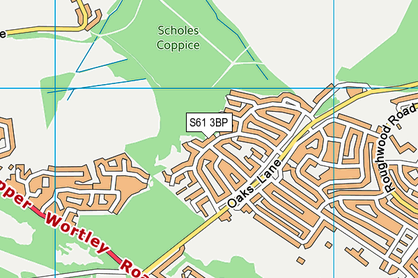 S61 3BP map - OS VectorMap District (Ordnance Survey)