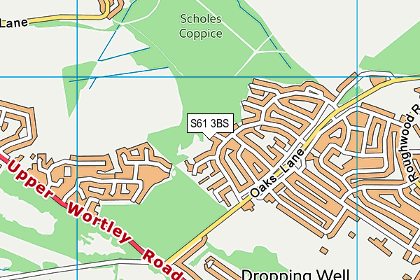 S61 3BS map - OS VectorMap District (Ordnance Survey)