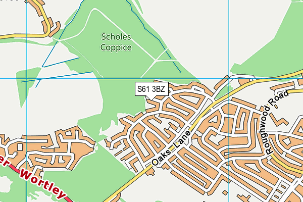 S61 3BZ map - OS VectorMap District (Ordnance Survey)