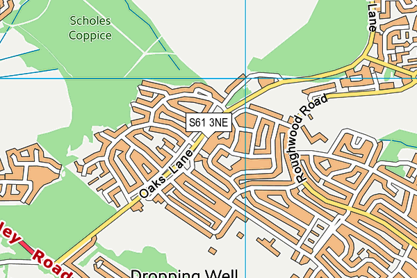S61 3NE map - OS VectorMap District (Ordnance Survey)